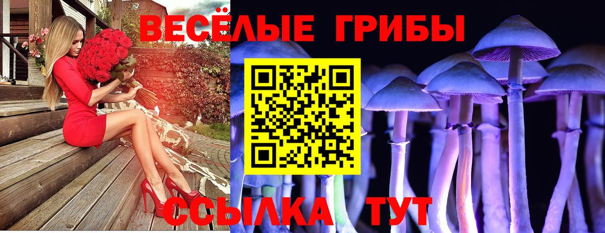 Менделеевск  Галлюциногенные грибы Cubensis  Вход с VPN  Галлюциногенные грибы GOLDEN TEACHER 