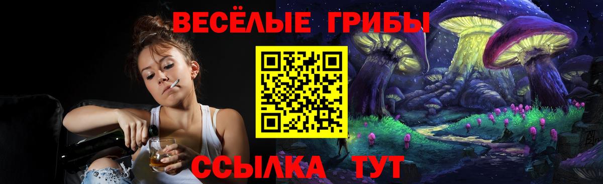 Псилоцибиновые грибы GOLDEN TEACHER Менделеевск